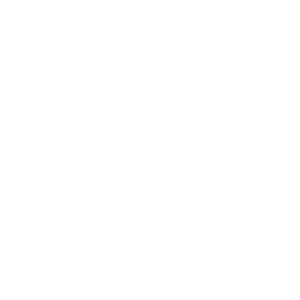 SCSI Soluciones